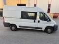 Fiat Ducato 33 L2H2 2,3 JTD 120 Bianco - thumbnail 3