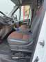 Fiat Ducato 33 L2H2 2,3 JTD 120 Bianco - thumbnail 9