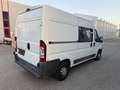 Fiat Ducato 33 L2H2 2,3 JTD 120 Bianco - thumbnail 5
