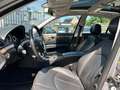 Mercedes-Benz E 300 Bluetec V6 -Avantgarde-Pano-Xenon-Weinig km Argento - thumbnail 18