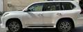 Lexus LX450+V8!+TurboDIESEL+NEU+2023+VOLL+20*STOCK Blanco - thumbnail 26