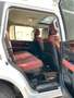 Lexus LX450+V8!+TurboDIESEL+NEU+2023+VOLL+20*STOCK Blanco - thumbnail 17