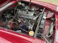 MG MGB 1972, Damask Red Rot - thumbnail 15