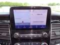 Ford Tourneo Custom Tourneo Custom 320 2.0 EcoBlue 185CV MHEV PC Tita Rot - thumbnail 14