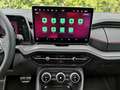 Skoda Kodiaq 2.0 TSI 195 kW 4x4 RS DSG Standh. Leder 360 AHK... Grau - thumbnail 6