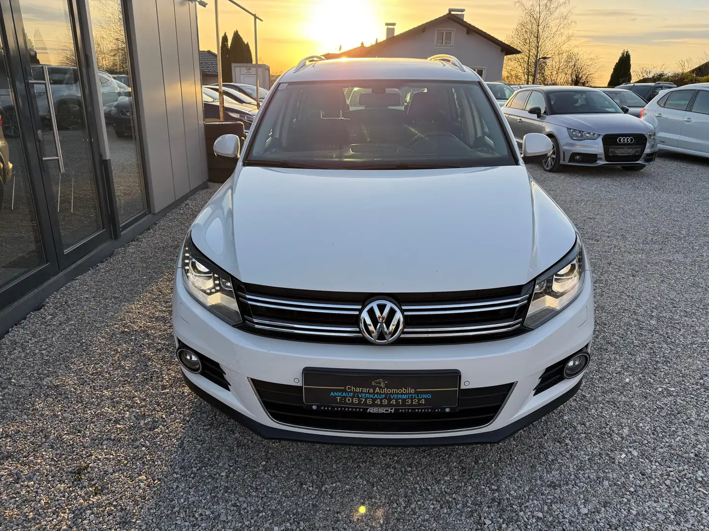 Volkswagen Tiguan 2,0 TDI BMT 4Motion Sky DPF Weiß - 2