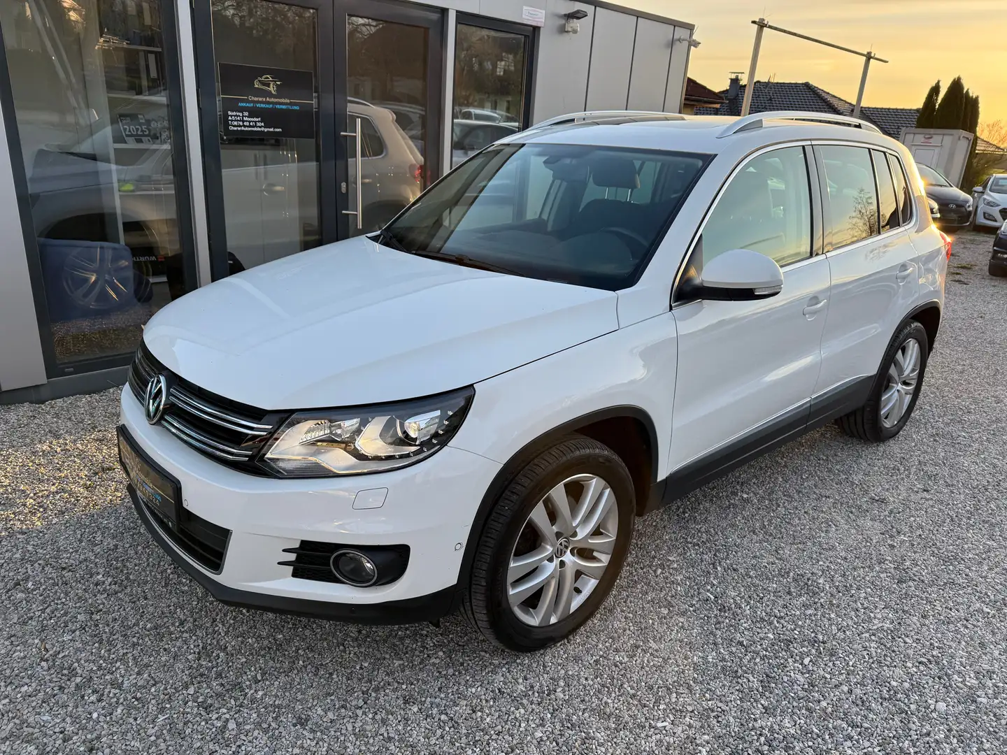 Volkswagen Tiguan 2,0 TDI BMT 4Motion Sky DPF Weiß - 1