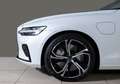 Volvo V60 T6 Plus Dark Business-Paket ACC Plug-In Hybrid AWD Weiß - thumbnail 8