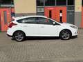 Ford Focus 1.0 EcoBoost Titanium, Nieuwe Distributie Riem - thumbnail 6