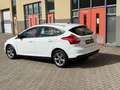 Ford Focus 1.0 EcoBoost Titanium, Nieuwe Distributie Riem - thumbnail 7