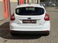 Ford Focus 1.0 EcoBoost Titanium, Nieuwe Distributie Riem - thumbnail 8