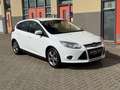 Ford Focus 1.0 EcoBoost Titanium, Nieuwe Distributie Riem - thumbnail 5
