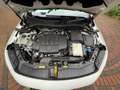 Mercedes-Benz GLA 200 GLA Diesel d 8G-DCT AMG Line Blanco - thumbnail 11