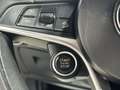 Alfa Romeo Stelvio 2.2 Executive RWD Aut. 150 Paars - thumbnail 22