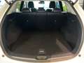 Mazda CX-5 Newground AWD 2.2 SKYACTIV-D 184PS Aut. Navi Blanco - thumbnail 24