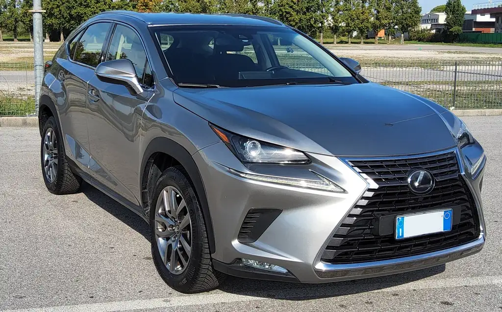 Lexus NX 300 2018 из Европы — купить под ключ