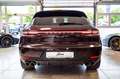 Porsche Macan *PDK*SzHg*Luft*Carbon*Cam*LED+*ACC*Beige* - thumbnail 6