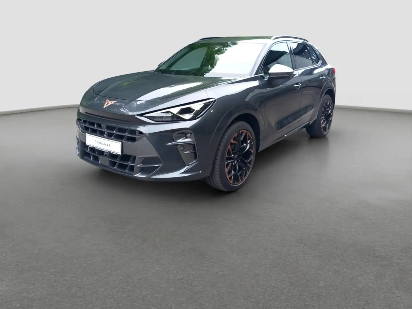 CUPRA Terramar 2.0 TSI 4Drive W VZ MATRIX 360 HUD Grau - 2