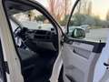 Volkswagen T6 Transporter 2.0TDI 150CV LUNGO L2 UNIPROPRIET GARANZIA 24 MESI Blanc - thumbnail 8