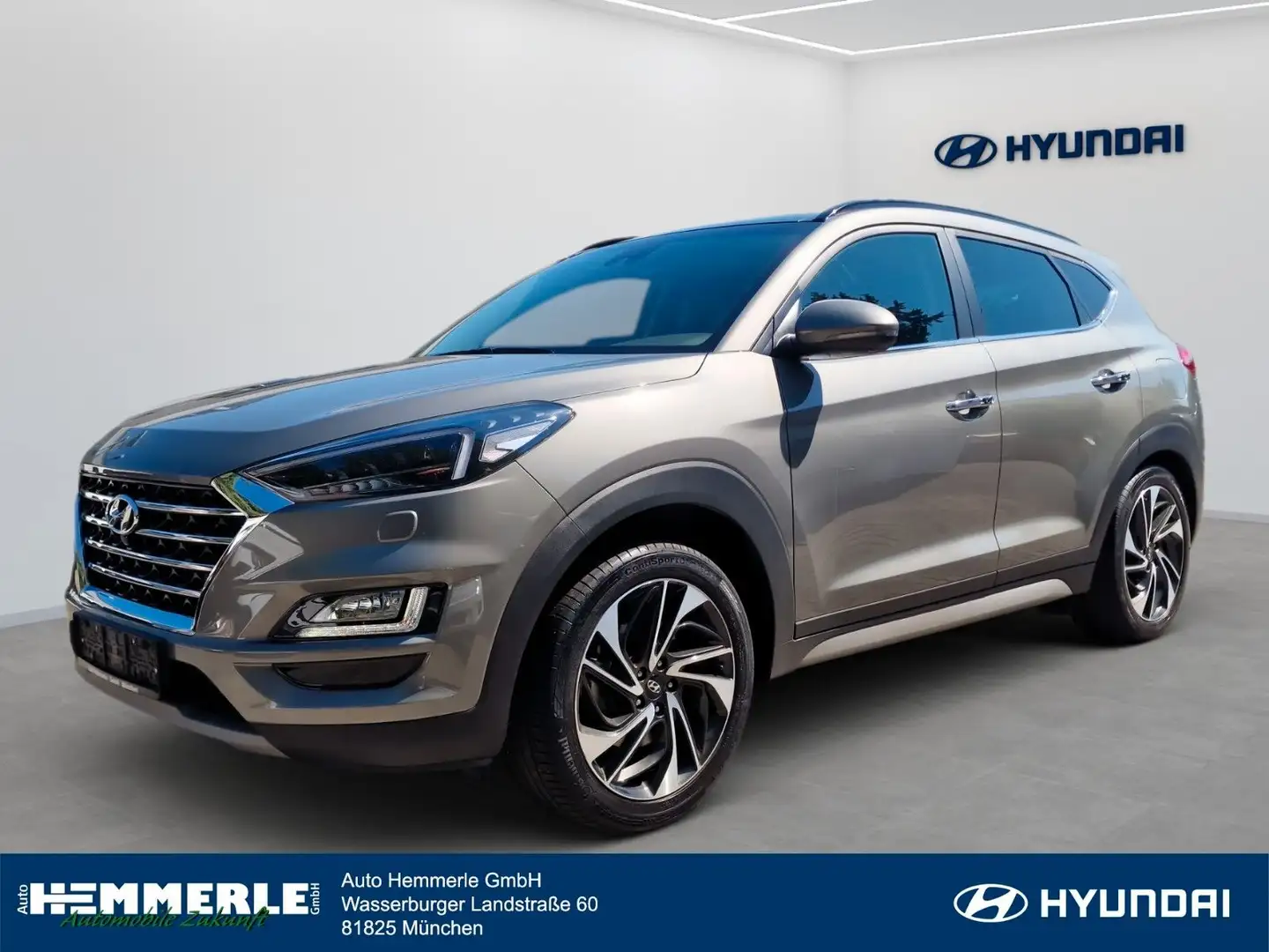 Hyundai TUCSON *PREMIUM*ALLRAD*Leder*el.Heck*360*PANO* Сірий - 1