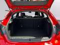 BMW 116 116dA Rojo - thumbnail 7