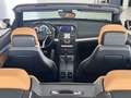 Mercedes-Benz E 250 Cabrio BlueTec d /AMG/Vollleder/ Schwarz - thumbnail 8