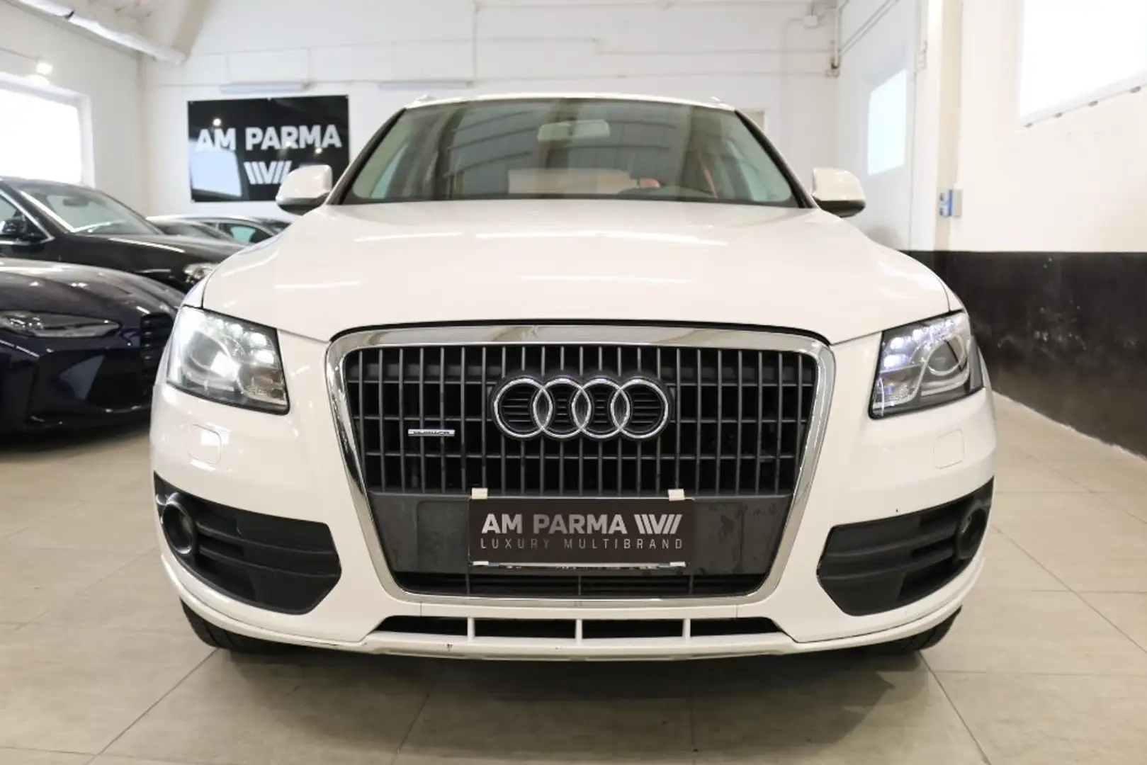 Audi Q5 2.0 TDI 170 CV quattro S tronic"MOTORE NUOVO" Weiß - 2