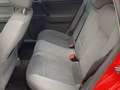 Volkswagen Polo Polo 1.2 Comfortline Rot - thumbnail 13