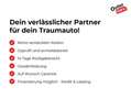 Skoda Octavia RS iV 245 DSG Grau - thumbnail 21