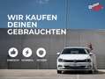 Skoda Octavia RS iV 245 DSG Grau - thumbnail 22
