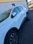 Renault Kadjar 1.5 dci energy Hypnotic 110cv - thumbnail 3