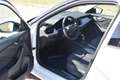 Skoda Kamiq 1.5 TSI Tour*Matrix*ACC*SWA*Winter*Cam*AHK Weiß - thumbnail 12