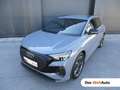 Audi Q4 e-tron Audi Q4 45 e-tron quattro Grau - thumbnail 1