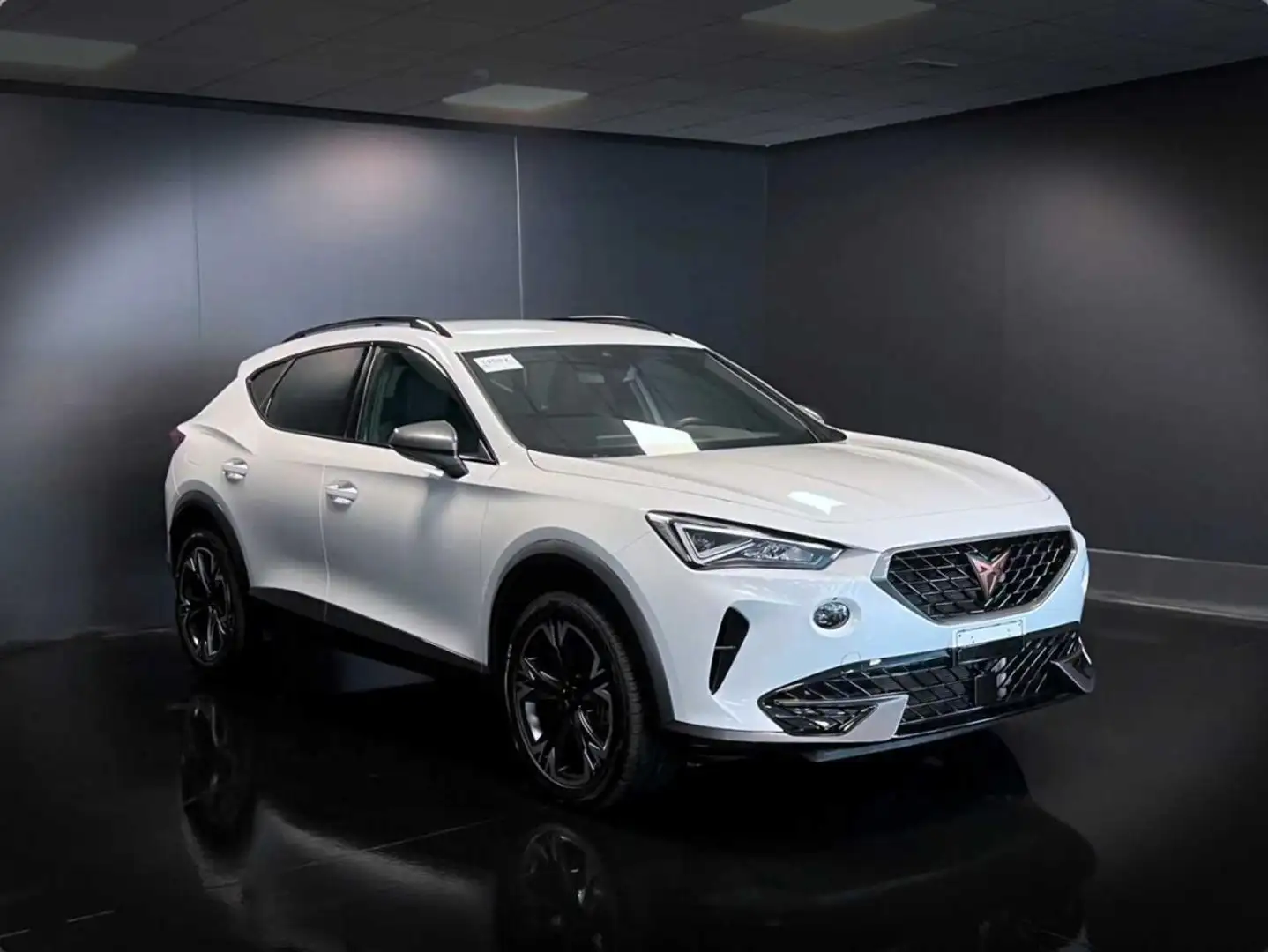 CUPRA Formentor 2.0 TDI 4Drive DSG Blanco - 2