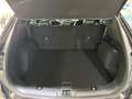 Ford Kuga 2.5 Plug-In Hybrid Titanium X 1.Hand|Leder Grau - thumbnail 7