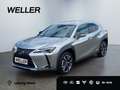 Lexus UX 250h Style Edition *Bi-LED*ACC*CAM*SHZ*CarPlay* Argintiu - thumbnail 1