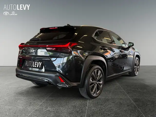 Lexus Ux view 6