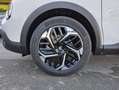 Citroen C4 PureTech 130 S&S 6v Plus Blanco - thumbnail 11