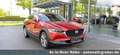 Mazda CX-30 Automatik SELECTION+DES-P+PRE-P+8-fach - thumbnail 8