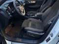 Volvo XC40 Twin AWD Ultimate AHK,Pano,360°,BLIS,ACC Weiß - thumbnail 14