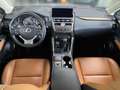 Lexus NX 300h E-FOUR Luxury Line 360°KAMERA SHZ LED KLIMA NAVI P Weiß - thumbnail 14