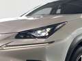 Lexus NX 300h E-FOUR Luxury Line 360°KAMERA SHZ LED KLIMA NAVI P Weiß - thumbnail 7