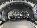 Lexus NX 300h E-FOUR Luxury Line 360°KAMERA SHZ LED KLIMA NAVI P Weiß - thumbnail 12