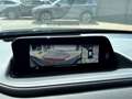 Mazda CX-30 CX-30 2.0 SKY-X M HYBRID / Automaat / Trekhaak Gris - thumbnail 18