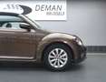 Volkswagen Beetle 1.2 TSI Design Braun - thumbnail 15