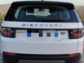 Land Rover Discovery Sport 2.0 td4 Pure Business edition Premium awd 150cv au Fehér - thumbnail 4