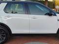 Land Rover Discovery Sport 2.0 td4 Pure Business edition Premium awd 150cv au Biały - thumbnail 8