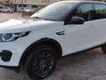 Land Rover Discovery Sport 2.0 td4 Pure Business edition Premium awd 150cv au Wit - thumbnail 1