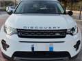 Land Rover Discovery Sport 2.0 td4 Pure Business edition Premium awd 150cv au Biały - thumbnail 3