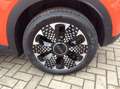 Fiat 600 e la Prima Orange - thumbnail 19